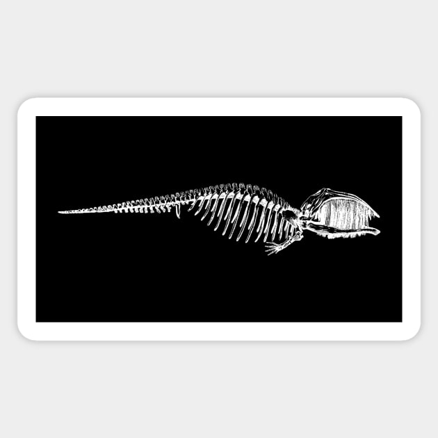 Whale Skeleton Sticker by tommartinart